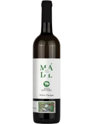 Mádl Svatomartinské Müller Thurgau 2025 (id:6011)