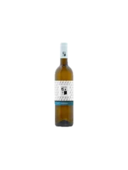 Kněží Hora Chardonnay Pozdní sběr 2023 (id:910003291)