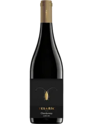 Tesařík Chardonnay Pozdní sběr 2025 (id:910003892)