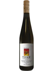 Vican Muškát moravský 2024 (id:910001464)