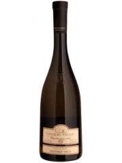 Tanzberg Chardonnay Pozdní sběr 2021 (id:910002234)
