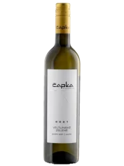 Čapka Veltlínské zelené Pozdní sběr 2021 (id:18497)