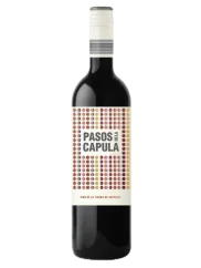 Abanico Pasos de la Capula Syrah 2022 (id:66614)