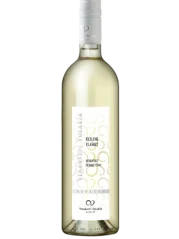 Volařík Muškát moravský 2025 (id:910002802)