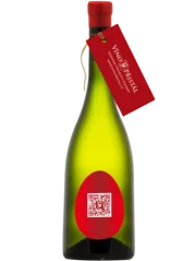 Přistál Sauvignon Blanc BETON 2022 (id:910002288)