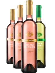 Topolčianky Set 3+1 – 3x Cabernet Sauvignon pozdí sběr 2022 a 1x Tramín červený pozdní sběr 2023 (id:910000743, 910000744)