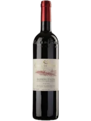 Costa di Bussia Barbera d'Alba 2024 (id:68650)