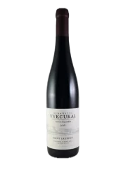 Vykoukal Saint Laurent 2019 (id:910000062)