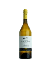 Marco Scolaris Ribolla Gialla Collio DOC 2020