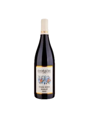 Dvořáček Merlot 2022 (id:910003449)